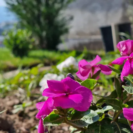 View Διαμέρισμα Αλέσιον